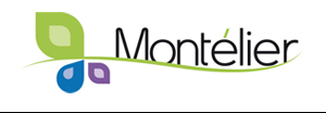 Logo de la commune de montélier